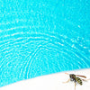 Guêpe au bord d'une piscine